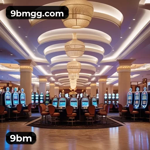 9bm VIP levels